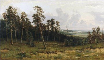 Bosque de abetos en el río Kama 1877 paisaje clásico Ivan Ivanovich Pinturas al óleo